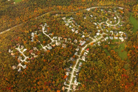 You'll Be Happy To Hear That Cincinnati's Fall Foliage Is Expected To Be Bright And Bold This Year