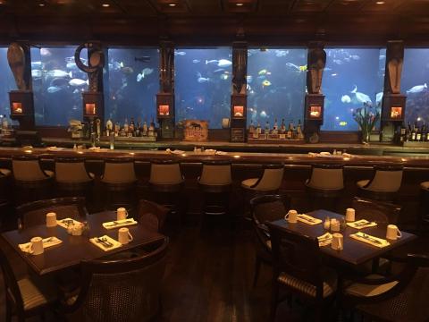 The Massive Aquarium At This Ocean-Themed Restaurant In Missouri Is A Sight To See