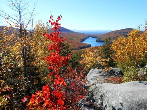 Few People Know There Are 7 State Parks In This One Enchanting Vermont Forest