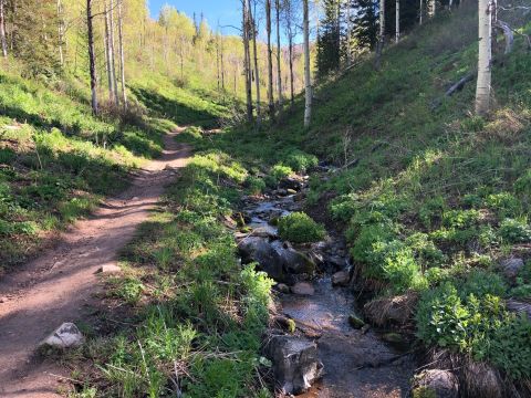 Don't Let The Name Fool You - This Utah Trail Takes You To The Most Beautiful Spot