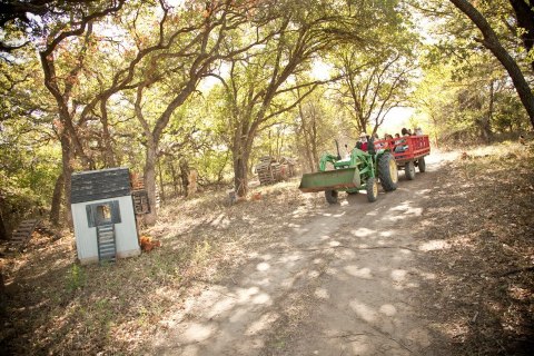 A Trip To This Charming Oklahoma Pumpkin Patch Makes For An Excellent Fall Outing