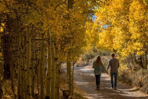 The Awesome Hike That Will Take You To The Most Spectacular Fall Foliage In Northern California