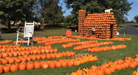 Nothing Says Fall Is Here More Than A Visit To This Charming Maryland Orchard