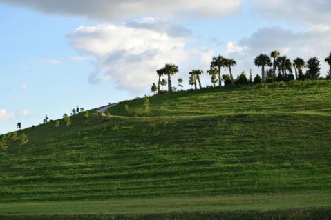 The Hilltop Hike In Florida That Will Lead You Straight To A Spectacular View