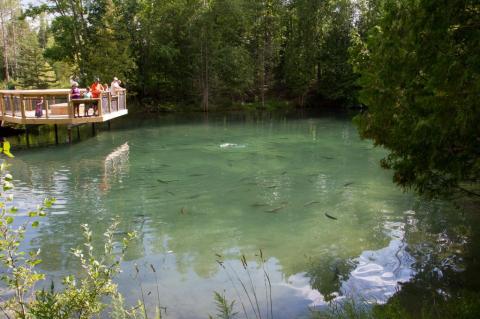 Visit This Fascinating Fish Hatchery In Michigan For A One-Of-A-Kind Day Trip