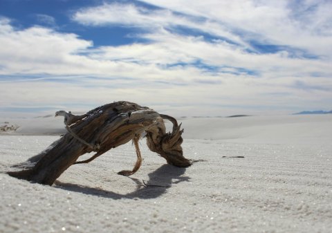 You Had No Idea This New Mexican National Monument Is Home To A Bone Chilling Haunted Trail