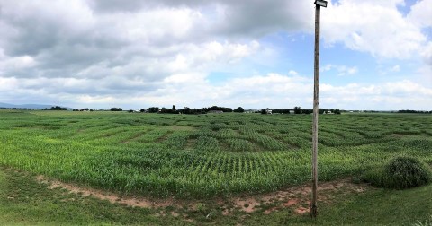 Get Lost In This Awesome 30-Acre Corn Maze In Maryland This Autumn