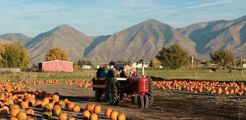 This Rural Fall Festival In Utah Should Go On Your Bucket List This Season