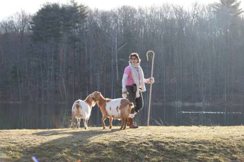 Go Hiking With Goats In Connecticut For An Adventure Unlike Any Other