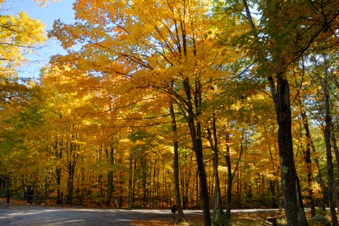 The Awesome Hike That Will Take You To The Most Spectacular Fall Foliage In Maine