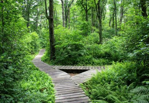 This Island Sanctuary In Rhode Island Is A Hiker's Hidden Paradise