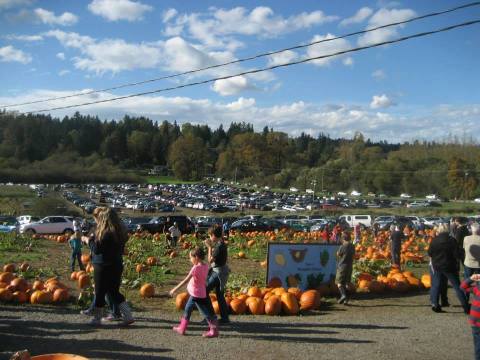 The Best Place In Washington To Get Your Apple Cider Donut Fix This Fall