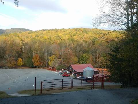 This Mountainside Pumpkin Farm In Georgia Is The Classic Fall Experience You Need