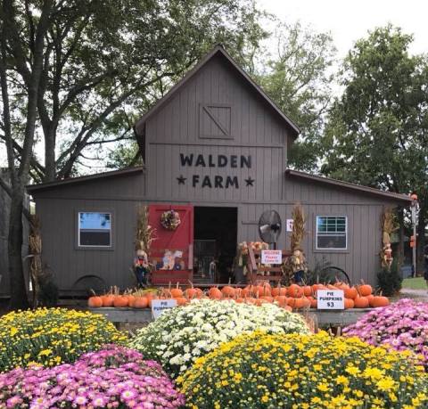 The Farm Near Nashville That Transforms Into A Halloween Wonderland Each Year