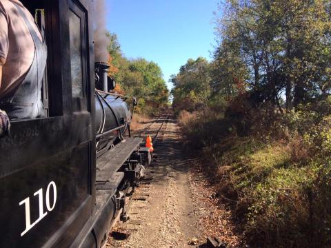 This 90-Minute Train Ride Is The Most Relaxing Way To Enjoy Michigan Scenery