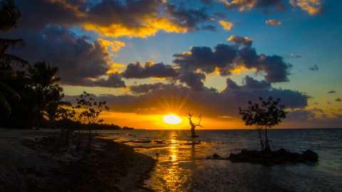 One Of Florida’s Most Incredible Wildlife Spectacles Takes Place In This Unassuming Small Town