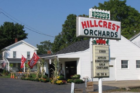 Pick Your Own Apples And Pumpkins At This Charming Farm Hiding Near Cleveland