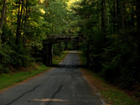 The Legend Of South Carolina's Screaming Bridge Will Make Your Hair Stand On End