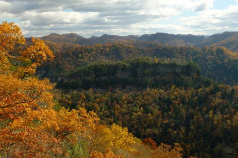 The 40-Mile Scenic Drive In Virginia You Will Want To Take As Soon As You Can