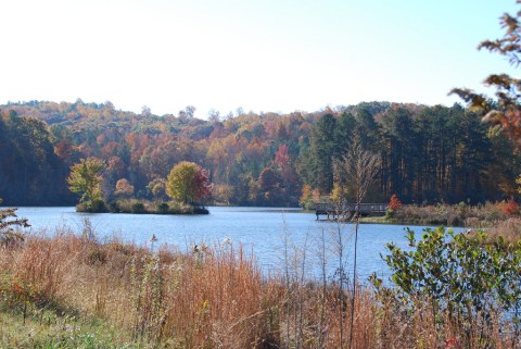 Hike Through This Tiny Park In Georgia To Get Away From It All