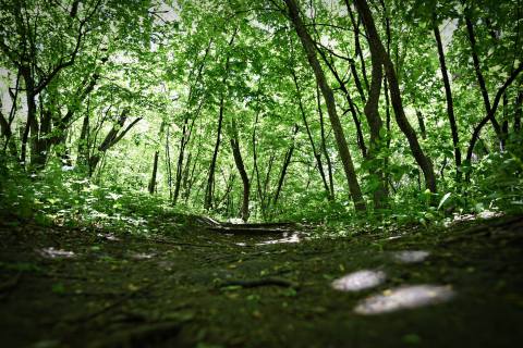 This Fairy Tale South Dakota State Park Is Sure To Be Your New Favorite