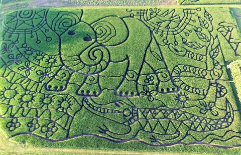 Get Lost In This Awesome 15-Acre Corn Maze In Wisconsin This Autumn