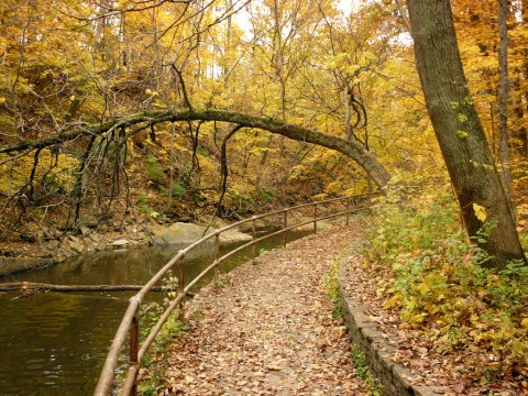 This Just Might Be The Most Beautiful Hike In All Of Cincinnati