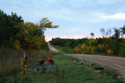 Visit This Tiny Town In North Dakota To See The Most Incredible Fall Colors