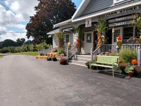 The Charming Apple Festival In New York That Will Make Your Fall Complete