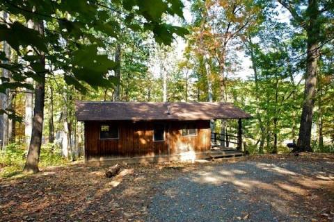 Sleep Underneath Gorgeous Fall Foliage When You Rent This Rustic Cabin In Virginia