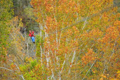 This Twilight Zip Line Is The Perfect Fall Adventure In Kentucky