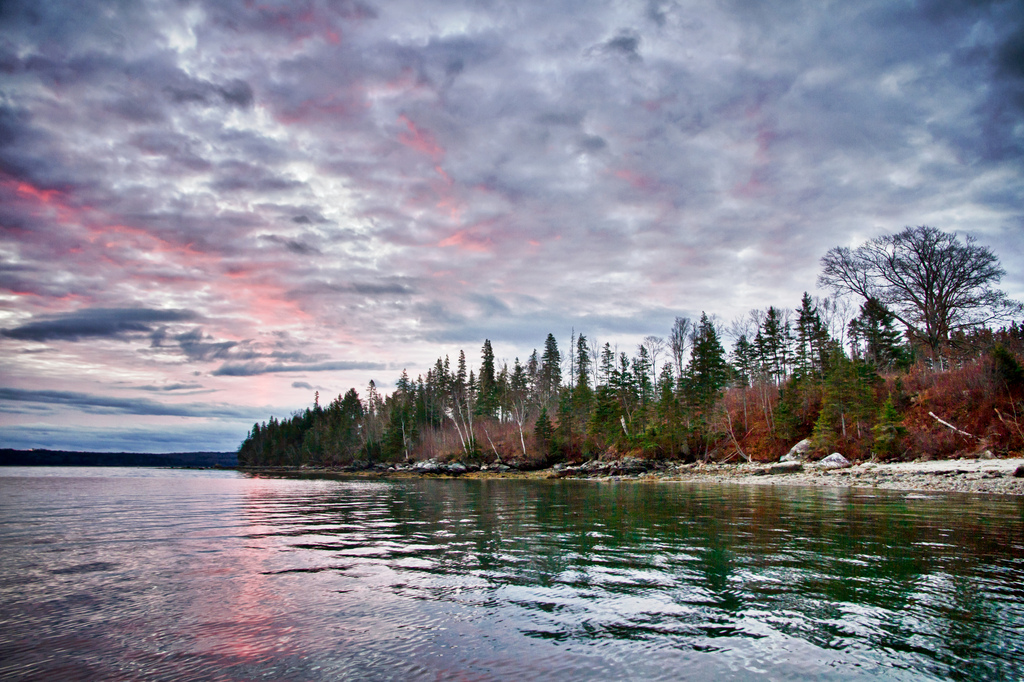 Maine banner image