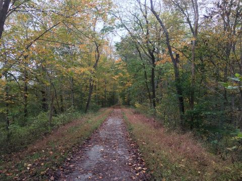 Spend A Crisp Fall Day Hiking This Heritage Trail Near Pittsburgh