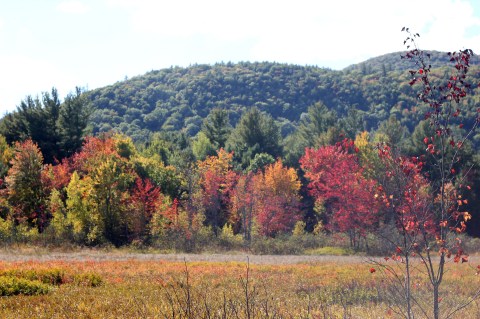 This 1-Hour Train Ride Is The Most Relaxing Way To Enjoy Maine's Scenery