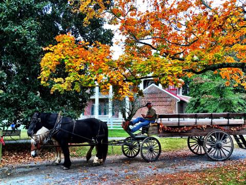 7 Amazing Museums In Nashville The Whole Family Will Love