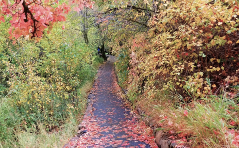 This Easy Fall Hike In Utah Is Under 2 Miles And You'll Love Every Step You Take