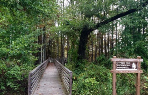 The One-Of-A-Kind Park In Mississippi Where You Can See Alligators Up Close