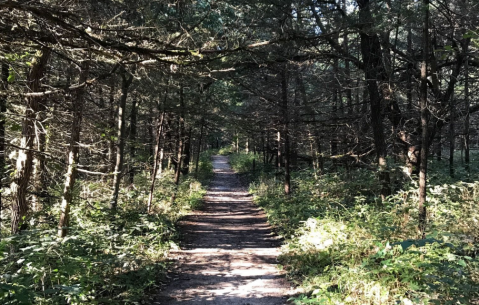 This Easy Fall Hike In Nebraska Is Under 2 Miles And You'll Love Every Step You Take