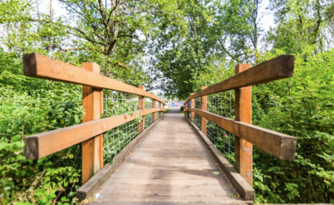 The Beautiful Boardwalk Hike In Oregon That Will Completely Mesmerize You