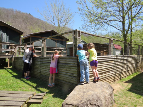 The Little Known Zoo In Kentucky With One Of The Largest Reptile Collections In The Country