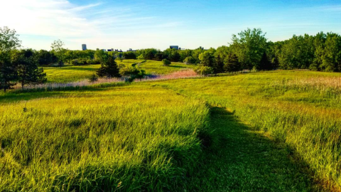 6 Gorgeous Parks That Prove Buffalo Is New York's Most Scenic City