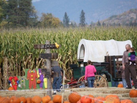 The Main Attraction At This Oregon Festival Is An Absolute Blast