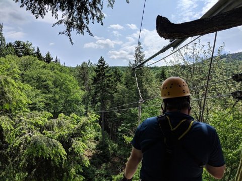 The Treetop Trail That Will Show You A Side Of New Hampshire You've Never Seen Before