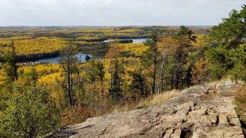 This Magical Hike Through A Minnesota Forest Is Unexpectedly Colorful