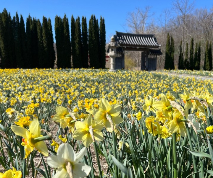 Lauritzen Gardens