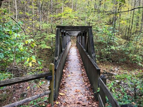 This Easy Fall Hike In Virginia Is Under 2 Miles And You'll Love Every Step You Take