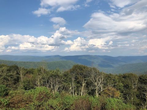 The Hilltop Hike In West Virginia That Will Lead You Straight To A Spectacular View