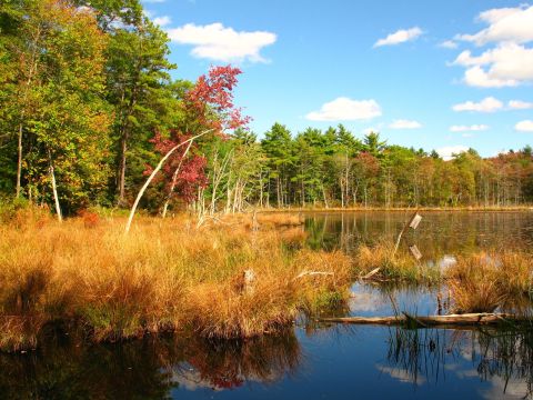 This 4-Mile Hike In Rhode Island Will Surround You With The Most Vibrant Autumn Colors