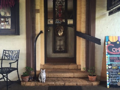 The Teeny Tiny Candy Store In Hawaii You’ll Want To Visit Over And Over Again