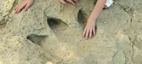 The Incredible State Park Near Austin Where Dinosaurs Once Roamed